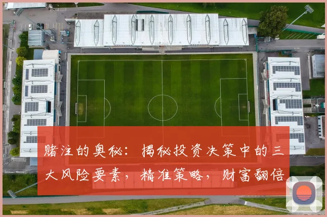 赌注的奥秘：揭秘投资决策中的三大风险要素，精准策略，财富翻倍