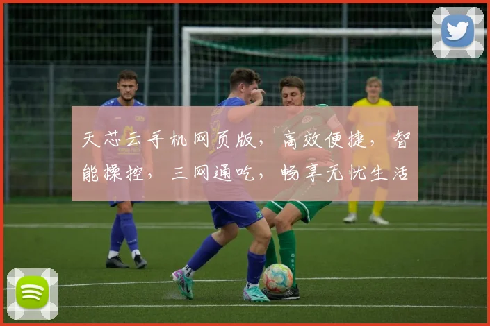 天芯云手机网页版，高效便捷，智能操控，三网通吃，畅享无忧生活体验，助力移动办公。