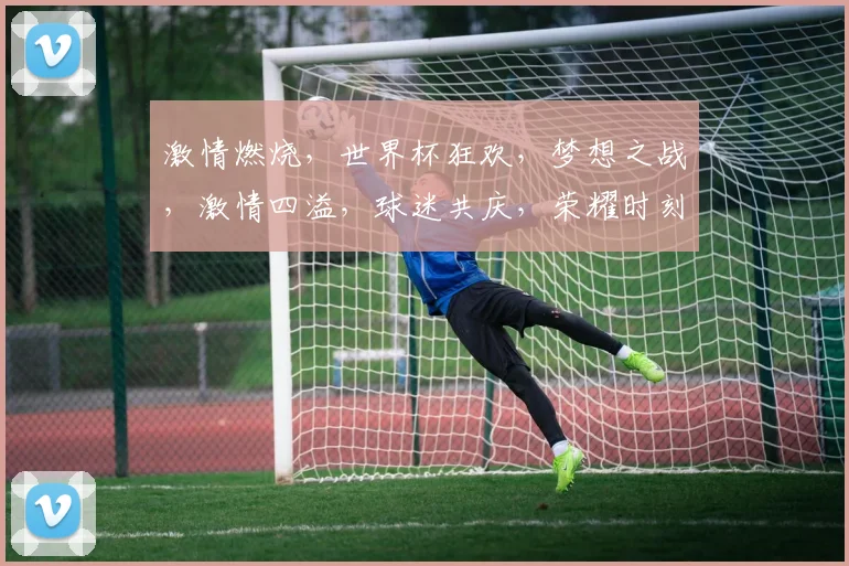激情燃烧，世界杯狂欢，梦想之战，激情四溢，球迷共庆，荣耀时刻，笑傲球场。