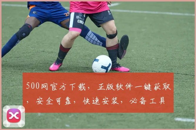 500网官方下载，正版软件一键获取，安全可靠，快速安装，必备工具，不容错过，体验无忧